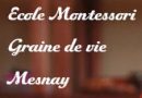 École Montessori Graine De Vie Mesnay