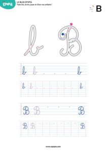 Lettre B en majuscule, minuscule, cursive attaché et script