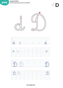 Lettre D en majuscule, minuscule, cursive attaché et script
