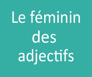 Controversial Paralyze lobby Le Féminin des Adjectifs CE1 - CE2 - CM1 - CM2 | Évaluation & Exercices à  imprimer