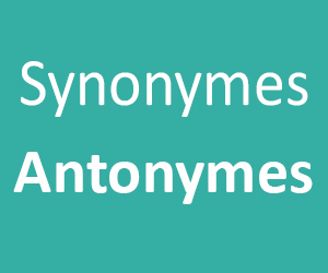 Synonymes et Antonymes CE1 - CE2 - CM1 - CM2