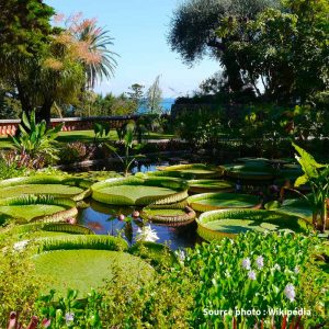 Jardin botanique Val Rameh sortie enfant vacances 2022